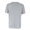 Maglietta da uomo CCM  FLAG TEE TEAM AUSTRIA Athletic Grey