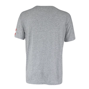Maglietta da uomo CCM  FLAG TEE TEAM AUSTRIA Athletic Grey