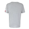 Maglietta da uomo CCM  FLAG TEE TEAM CZECH Athletic Grey