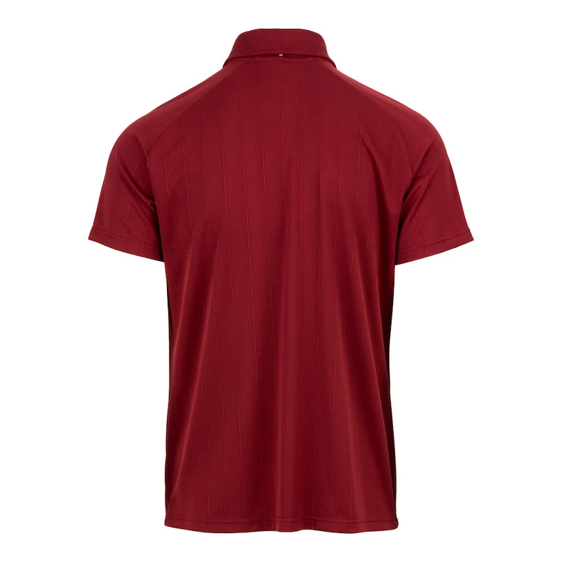 Maglietta da uomo Fila Polo Harry Cabernet Sportega