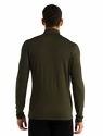 Maglietta da uomo Icebreaker  M 260 Tech LS Half Zip Loden
