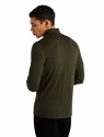 Maglietta da uomo Icebreaker  M 260 Tech LS Half Zip Loden