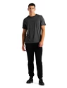 Maglietta da uomo Icebreaker  M Central SS Tee GRITSTONE HTHR