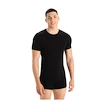 Maglietta da uomo Icebreaker Merino Anatomica 150 SS Crewe Black