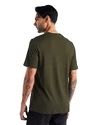 Maglietta da uomo Icebreaker  Tech Lite II SS Tee Trailhead Loden