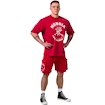 Maglietta da uomo Nebbia NEBBIA x OLYMPIA Washed Oversized T-Shirt GOLDEN AGE 790 red