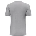 Maglietta da uomo Salewa  Solidlogo Dri-Release Heather Grey