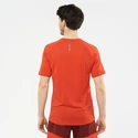 Maglietta da uomo Salomon Cross Run SS Tee Fiery Red