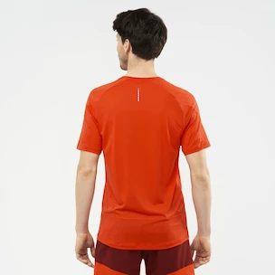 Maglietta da uomo Salomon Cross Run SS Tee Fiery Red
