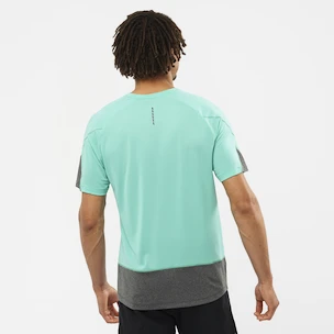 Maglietta da uomo Salomon Cross Run SS Tee Pool Blue/Black