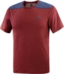 Maglietta da uomo Salomon  Outline SS Tee Cabernet