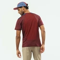 Maglietta da uomo Salomon  Outline SS Tee Cabernet