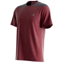 Maglietta da uomo Salomon  Outline SS Tee Cabernet