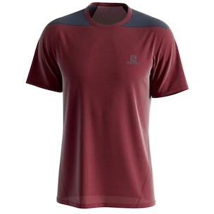 Maglietta da uomo Salomon  Outline SS Tee Cabernet