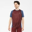 Maglietta da uomo Salomon Sense Aero SS Tee Cabernet
