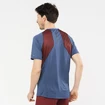 Maglietta da uomo Salomon Sense Aero SS Tee Cabernet