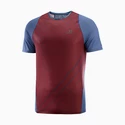Maglietta da uomo Salomon Sense Aero SS Tee Cabernet