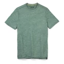 Maglietta da uomo Smartwool  Merino Sport 120 Mountain Biking Sage Heather