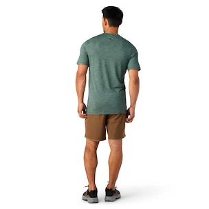 Maglietta da uomo Smartwool  Merino Sport 120 Mountain Biking Sage Heather