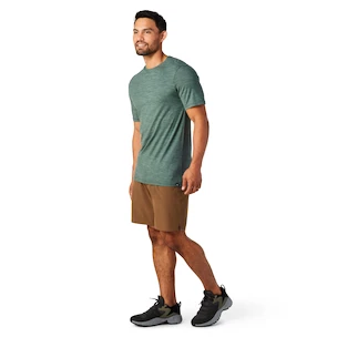 Maglietta da uomo Smartwool  Merino Sport 120 Mountain Biking Sage Heather