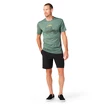Maglietta da uomo Smartwool  Merino Sport 150 Overland Trek Sage Heather