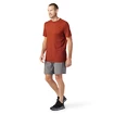 Maglietta da uomo Smartwool  Merino Sport 150 Tech Tee Picante