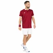 Maglietta da uomo Tecnifibre  Club Polo Cardinal