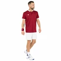 Maglietta da uomo Tecnifibre  Club Polo Cardinal