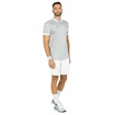 Maglietta da uomo Tecnifibre  Club Polo Silver