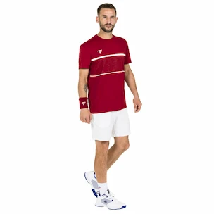 Maglietta da uomo Tecnifibre  Club Tech Tee Cardinal XL