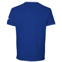 Maglietta da uomo Tecnifibre  Cotton Tee Royal