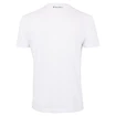 Maglietta da uomo Tecnifibre  Pro Training Tee White