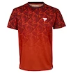 Maglietta da uomo Tecnifibre  X-Loop Tee Clay XL