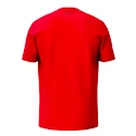 Maglietta per bambini Head  CLUB ORIGINAL T-Shirt Junior RD