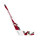 Mini bastone da hockey Inglasco Inc.  Goalie Arizona Coyotes