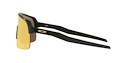 Occhiali sportivi Oakley Sutro Lite Matte Carbon/Prizm 24k