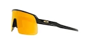 Occhiali sportivi Oakley Sutro Lite Matte Carbon/Prizm 24k
