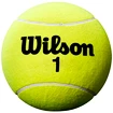 Pallina da tennis grande Wilson  Roland Garros 9" Jumbo Yellow