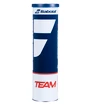 Palline da tennis Babolat  Team