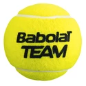 Palline da tennis Babolat  Team