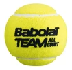 Palline da tennis Babolat  Team All Court