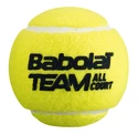 Palline da tennis Babolat  Team All Court