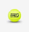 Palline da tennis Dunlop  Fort All Court TS