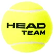 Palline da tennis Head  Team (4 pz)