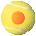 Palline da tennis per bambini Wilson  Starter Orange (48 pz) - 8-10 years
