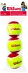 Palline da tennis per bambini Wilson  Starter Red (3 Pack)