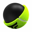 Palline da tennis Tecnifibre  X-One (4 pz)