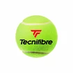 Palline da tennis Tecnifibre  X-One (4 pz)