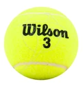 Palline da tennis Wilson  Championship (4 pz)
