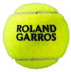 Palline da tennis Wilson  Roland Garros All Court (4 Pack)